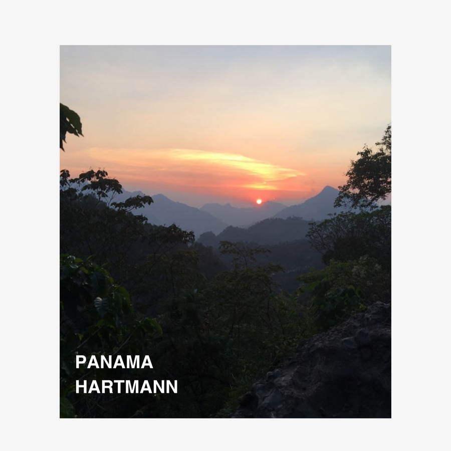 Panama Hartmann