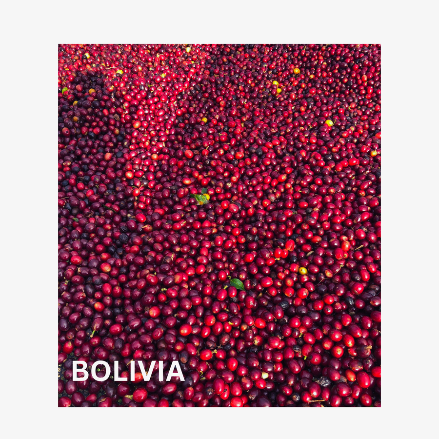 Bolivia - Filter