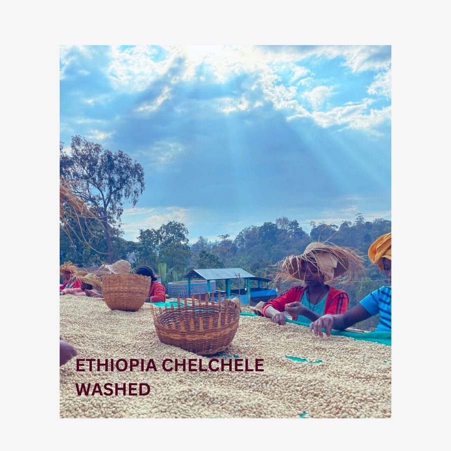 Ethiopia Chelchele - Espresso