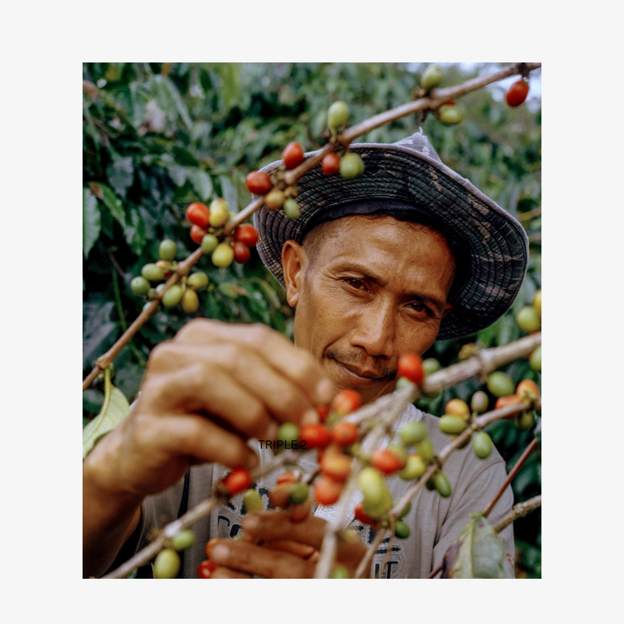 Java Ateng - Espresso