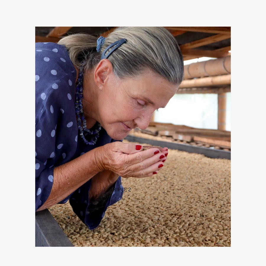 Colombia Pink Bourbon - Espresso