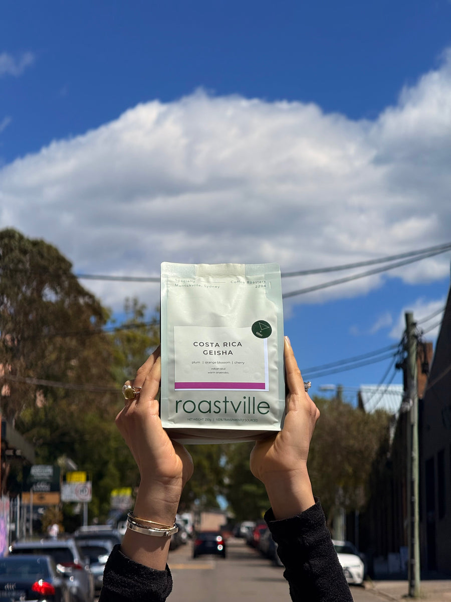 Costa Rica Volcan Azul - Geisha