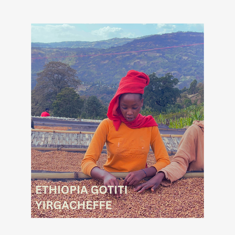 Ethiopia Gotiti Yirgacheffe