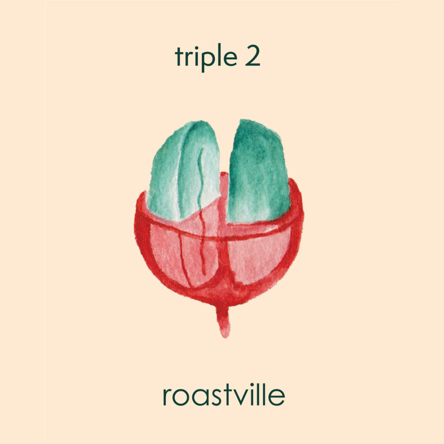 Triple 2 Blend - Espresso Roastville